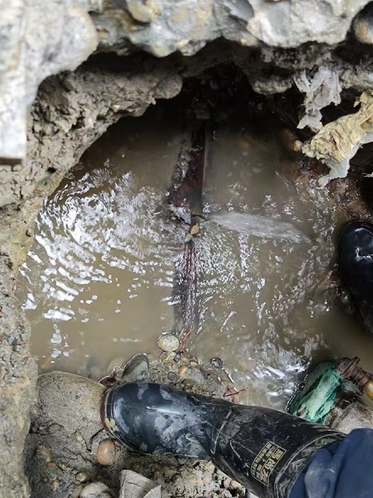 安国本地绿化水管漏水检测维修